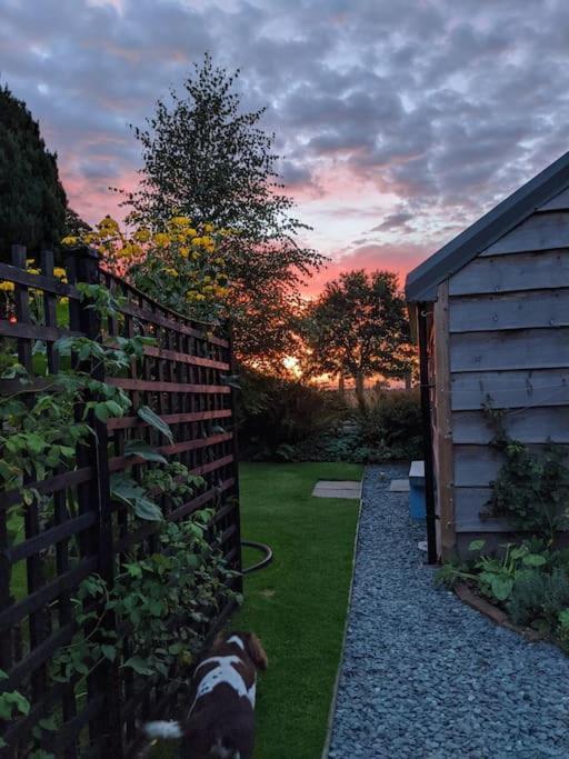 La'Al Cabin, Tiny Home, Unique Space Eden Valley Cumbria Brampton  Zewnętrze zdjęcie